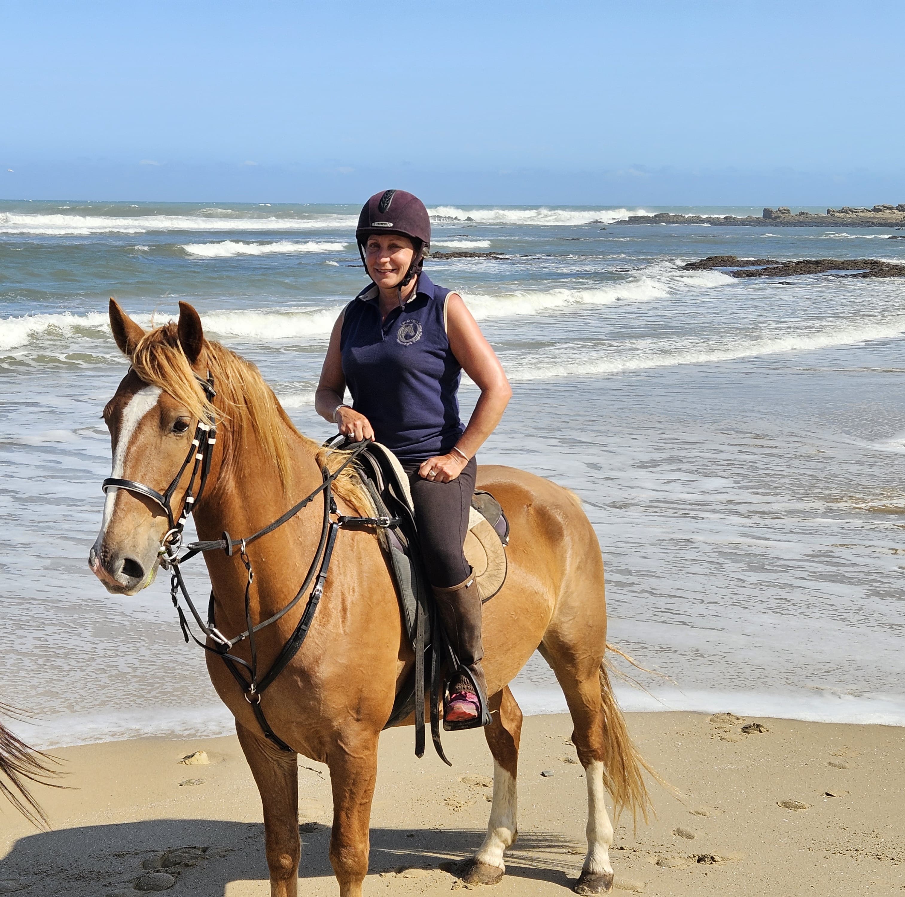 Enjoying travel with horses.